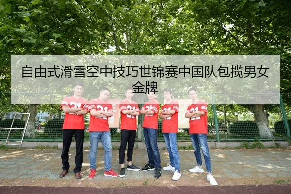zi-you-shi-hua-xue-kong-zhong-ji-qiao-shi-jin-sai-zhong-guo-dui-bao-lan-nan-nv-jin-pai-3-623.jpg