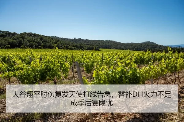 大谷翔平肘伤复发天使打线告急，替补DH火力不足成季后赛隐忧