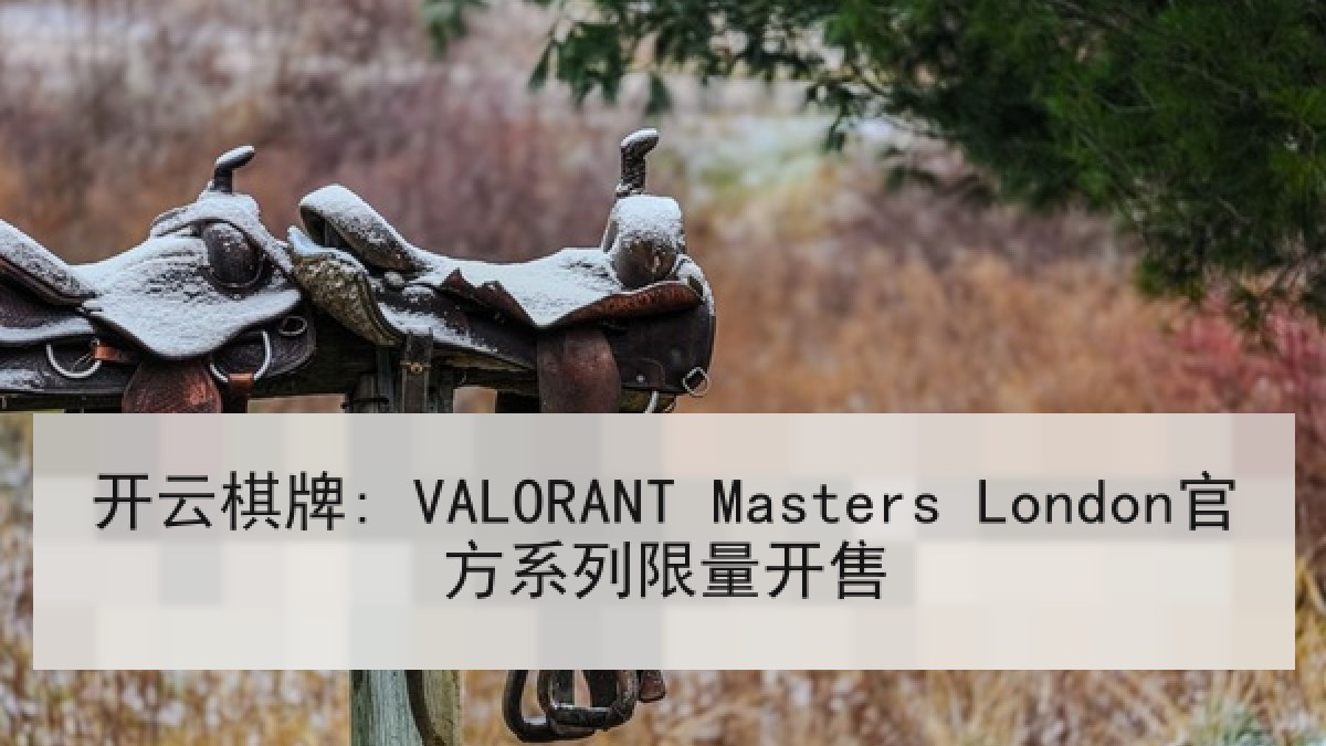 开云棋牌: VALORANT Masters London官方系列限量开售