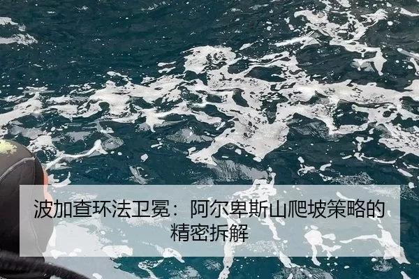 bo-jia-cha-huan-fa-wei-mian-a-er-bei-si-shan-pa-po-ce-lve-de-jing-mi-chai-jie-2-546.jpg
