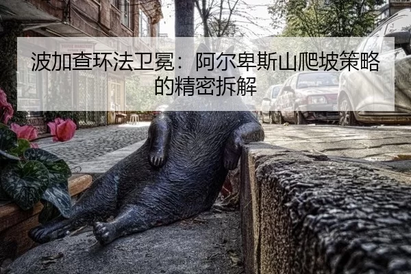 bo-jia-cha-huan-fa-wei-mian-a-er-bei-si-shan-pa-po-ce-lve-de-jing-mi-chai-jie-3-163.jpg