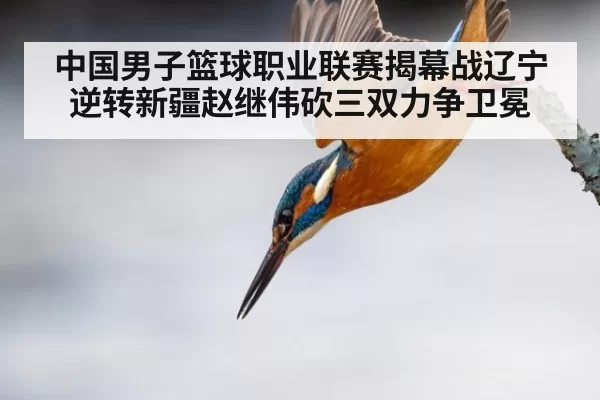 中国男子篮球职业联赛揭幕战辽宁逆转新疆赵继伟砍三双力争卫冕
