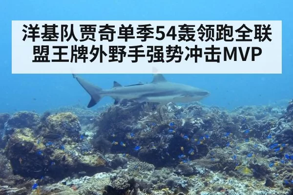 洋基队贾奇单季54轰领跑全联盟王牌外野手强势冲击MVP